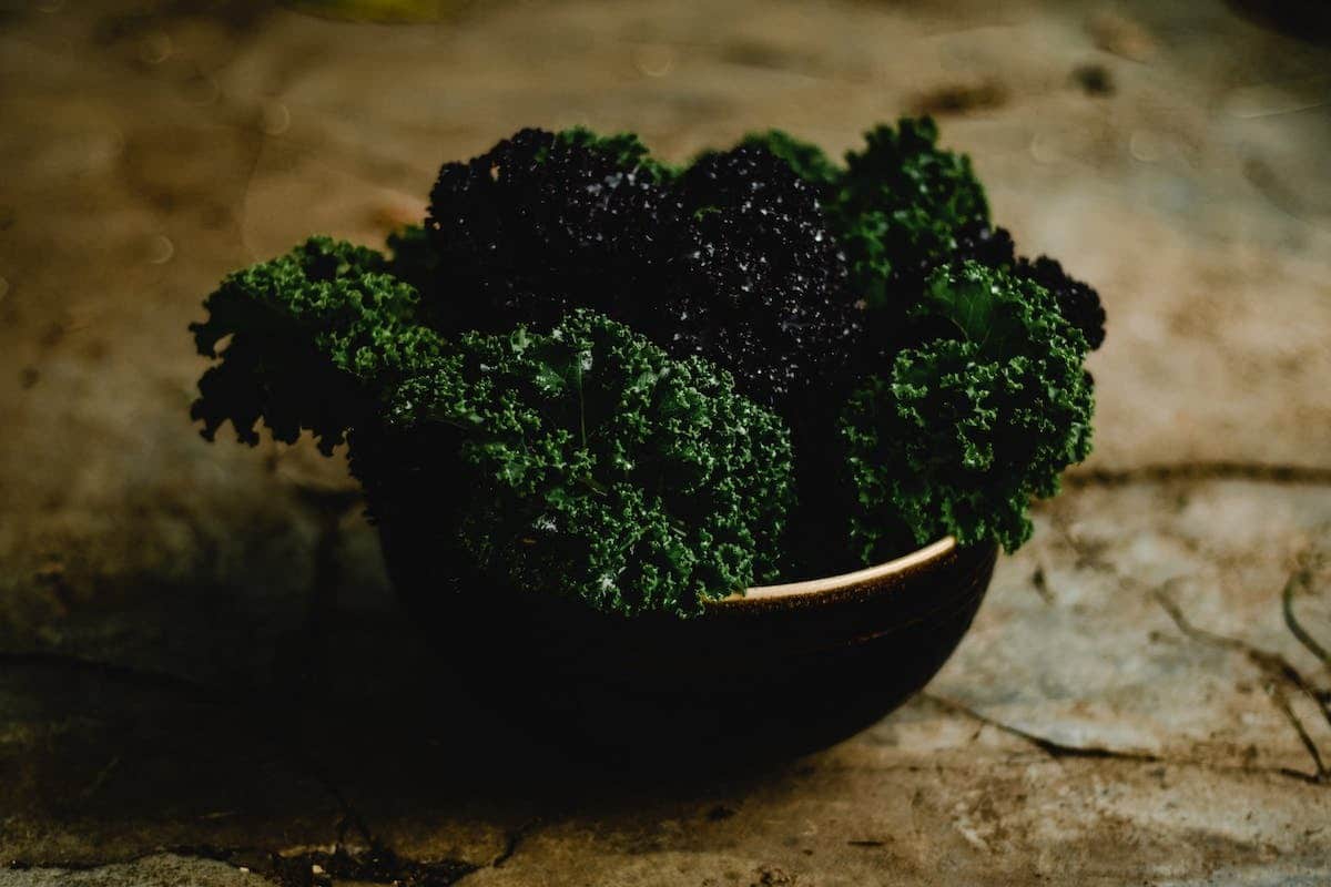 Le savon noir : un allié sûr pour préserver la santé de vos végétaux !